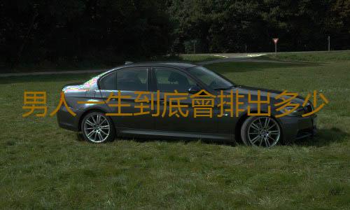 男人一生到底會排出多少精子