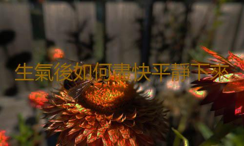 生氣後如何盡快平靜下來