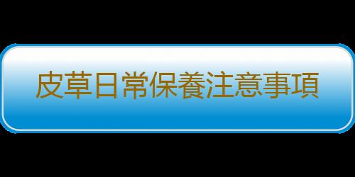 皮草日常保養注意事項