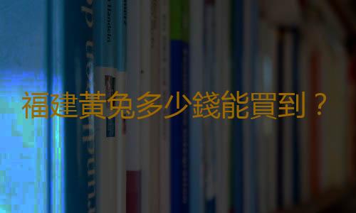 福建黃兔多少錢能買到？福建黃兔的簡介