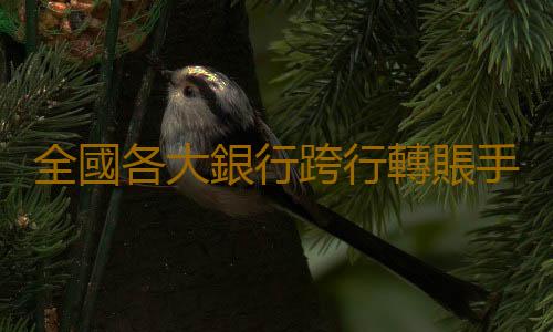 全國各大銀行跨行轉賬手續費