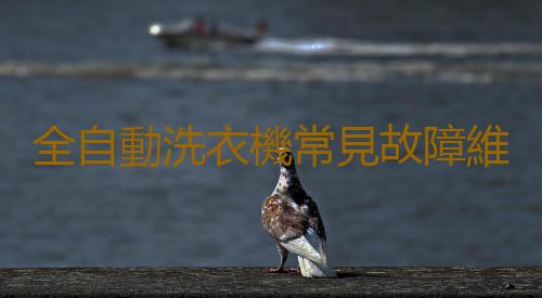 全自動洗衣機常見故障維修有哪些  洗衣機日常保養技巧