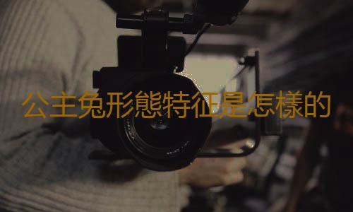 公主兔形態特征是怎樣的？
