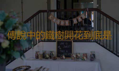 傳說中的鐵樹開花到底是什麽樹？