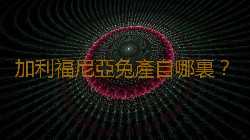 加利福尼亞兔產自哪裏？