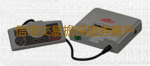信用交易擔保證券賬戶