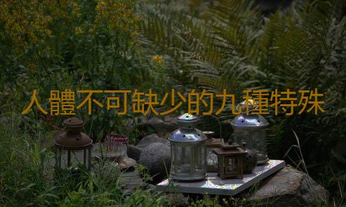 人體不可缺少的九種特殊物質