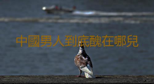中國男人到底醜在哪兒