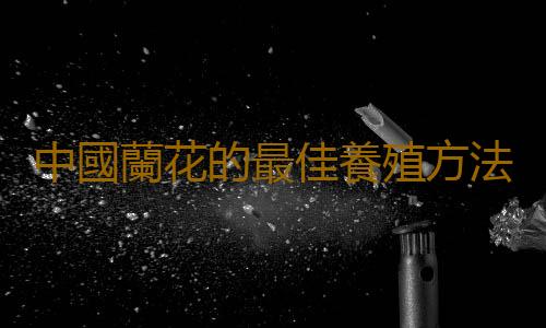 中國蘭花的最佳養殖方法