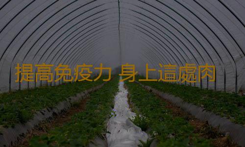 提高免疫力 身上這處肉多免疫力竟然更強