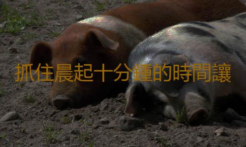 抓住晨起十分鍾的時間讓你多活十年