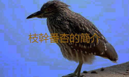 枝幹番杏的簡介