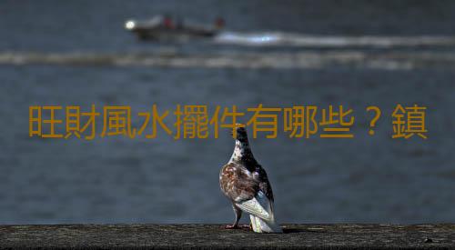 旺財風水擺件有哪些？鎮宅之寶風水擺件