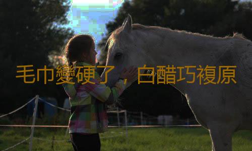 毛巾變硬了，白醋巧複原