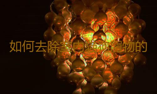 如何去除室內貓狗寵物的氣味？