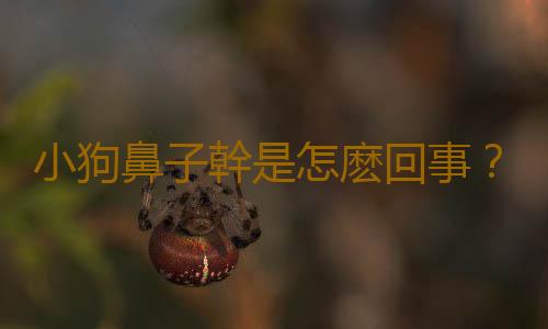 小狗鼻子幹是怎麽回事？小狗鼻子幹怎麽辦？