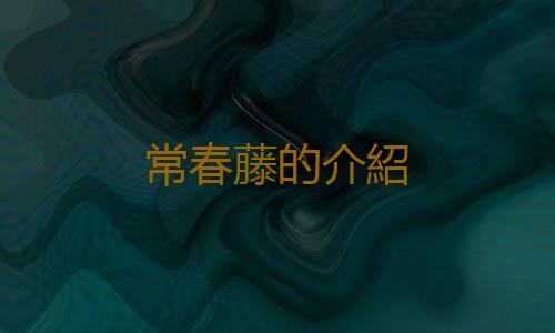 常春藤的介紹