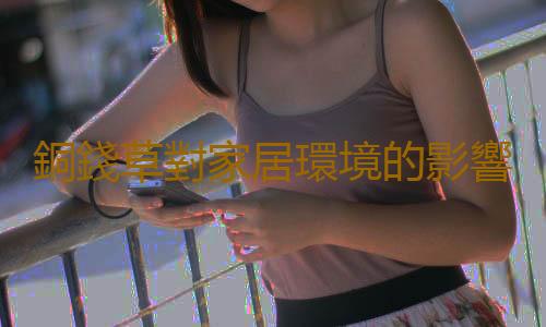 銅錢草對家居環境的影響