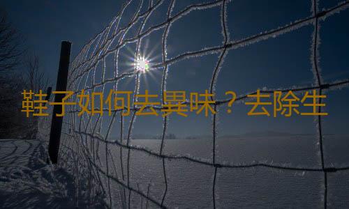 鞋子如何去異味？去除生活中異味的方法