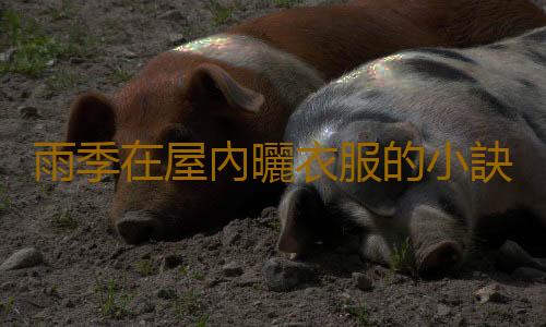 雨季在屋內曬衣服的小訣竅