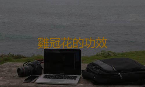 雞冠花的功效