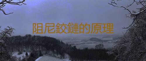 阻尼鉸鏈的原理