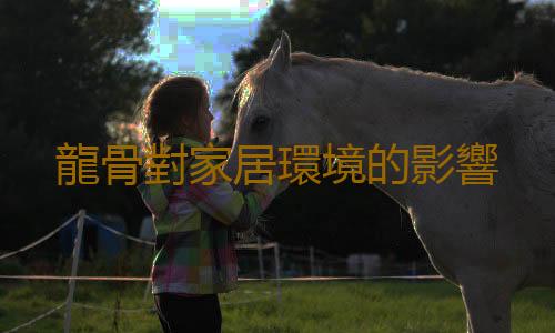 龍骨對家居環境的影響