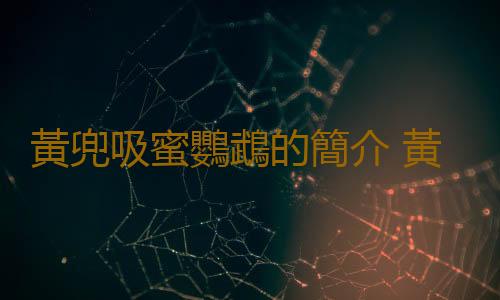 黃兜吸蜜鸚鵡的簡介 黃兜吸蜜鸚鵡產地